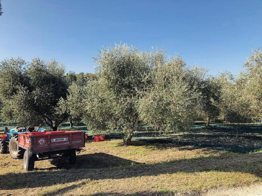 Villa Monteporzano Orvieto Bagian luar foto