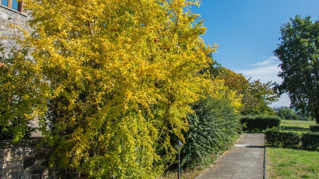 Villa Monteporzano Orvieto Ruang foto